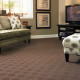 carpet-family-room