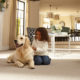 Cleaning With Your Pet In Mind, And Cleaning Up Accidents Too!